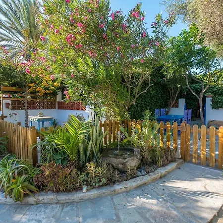 Casa De Gertrudis El Palmar (Andalucia)
